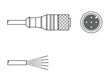 Leuze KD S-M12-5A-P1-250 : Connection Cable - 50136146