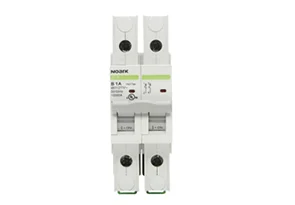 Noark B1H:Miniature Circuit Breakers-B1H2D10